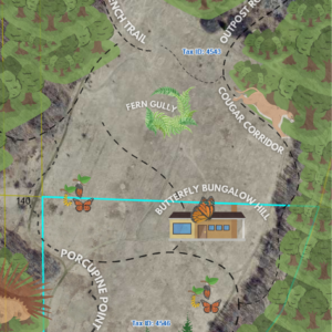 Adopt The Entire Pollinator Paradise