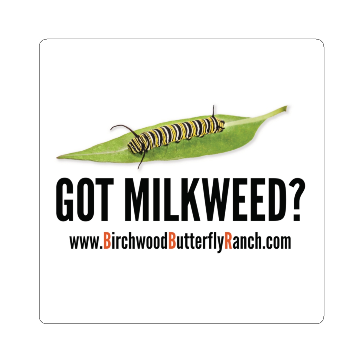 Got Milkweed BBR Monarch Caterpillar Decal